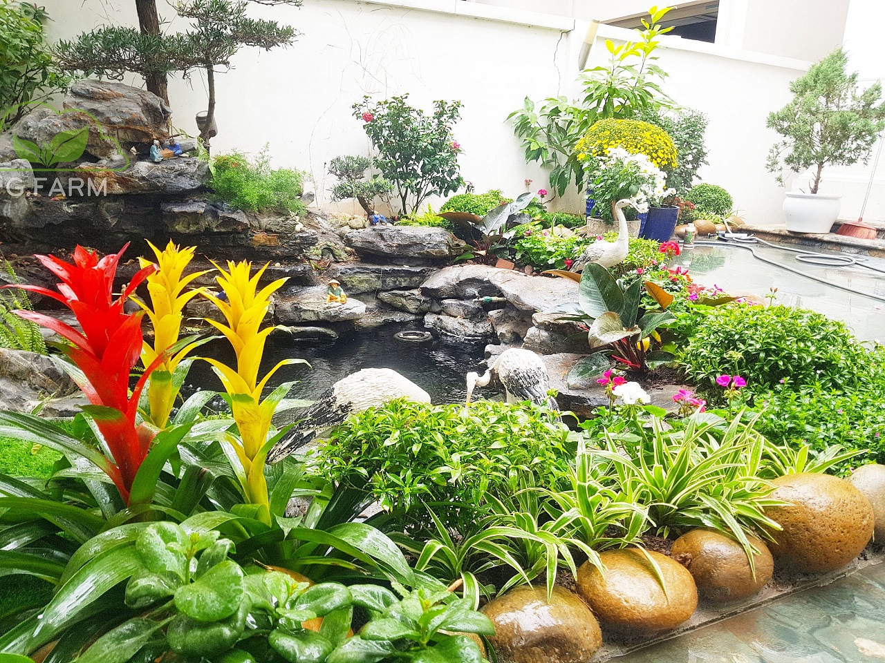 Thiết kế và thi công sân vườn biệt thự đẹp